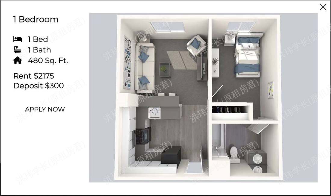 Oasis apartment公寓