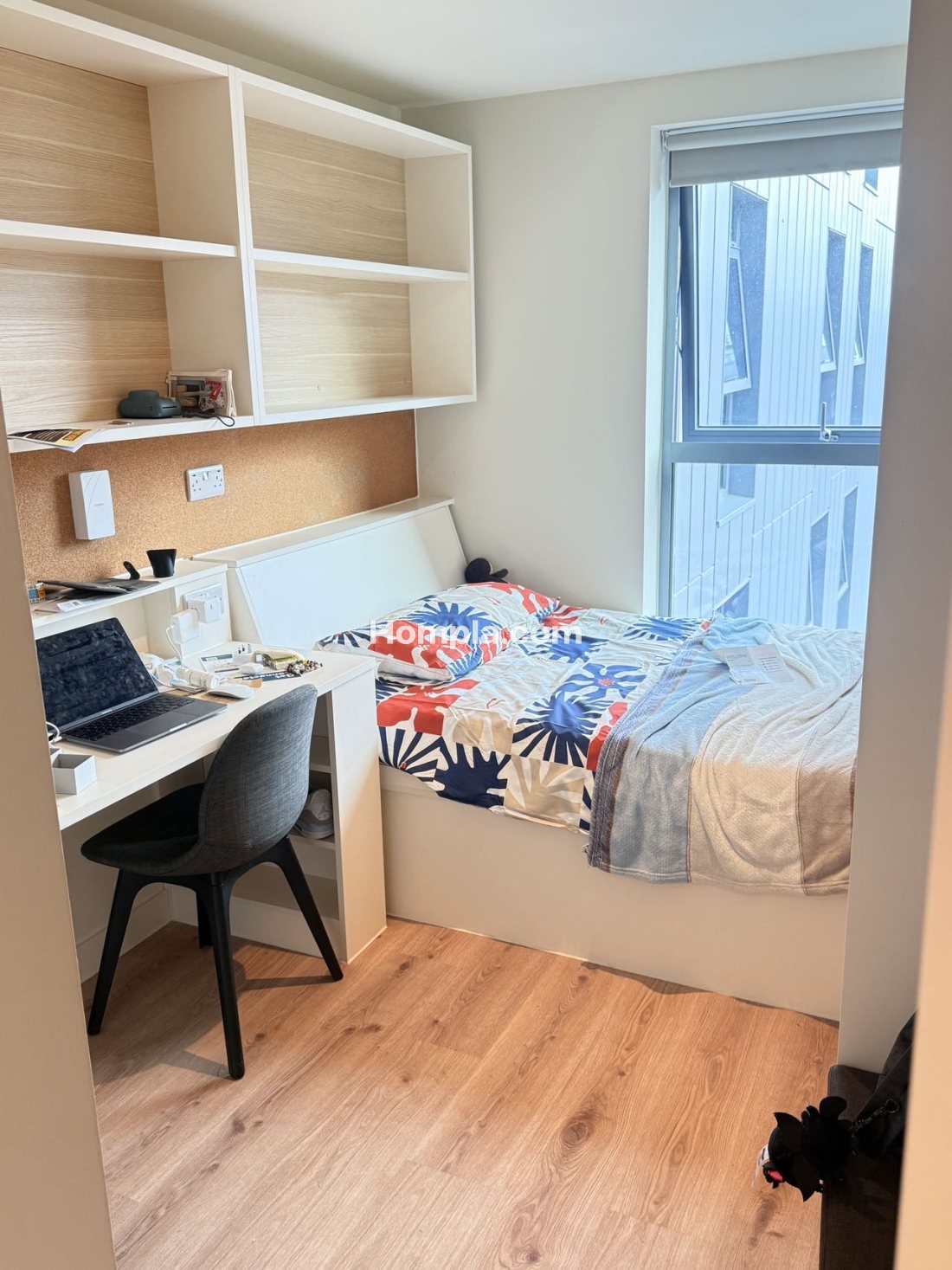 iQ Cullen House apartment