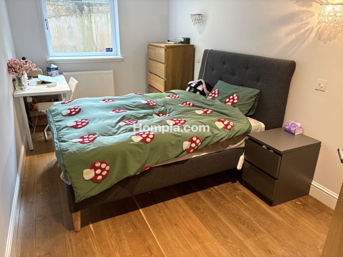 65 Saltoun Street apartment