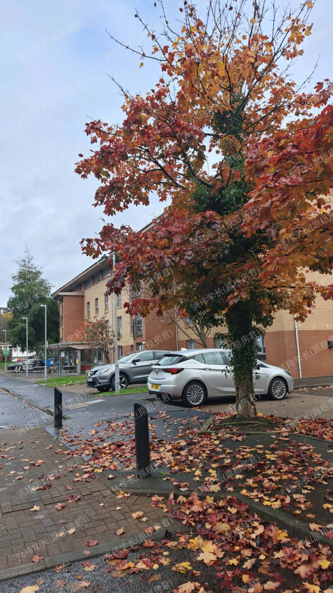 Maclay Residence公寓