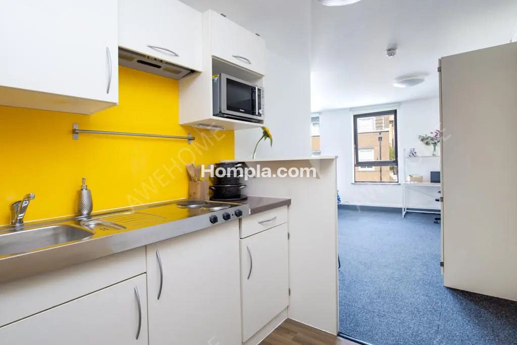 Fulham Palace Studios apartment
