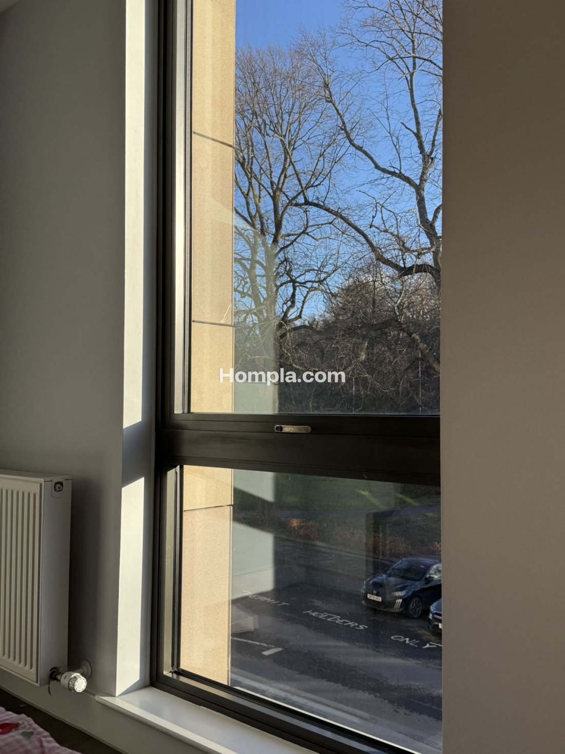 IQ apartment