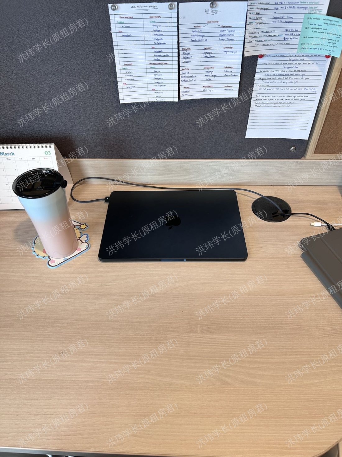 Eleanor Rosa House公寓