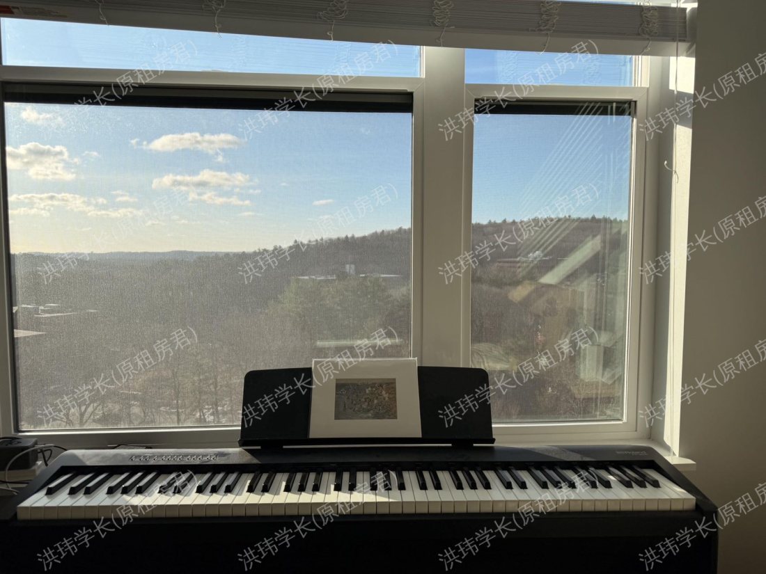 The 305 (Broadstone)公寓