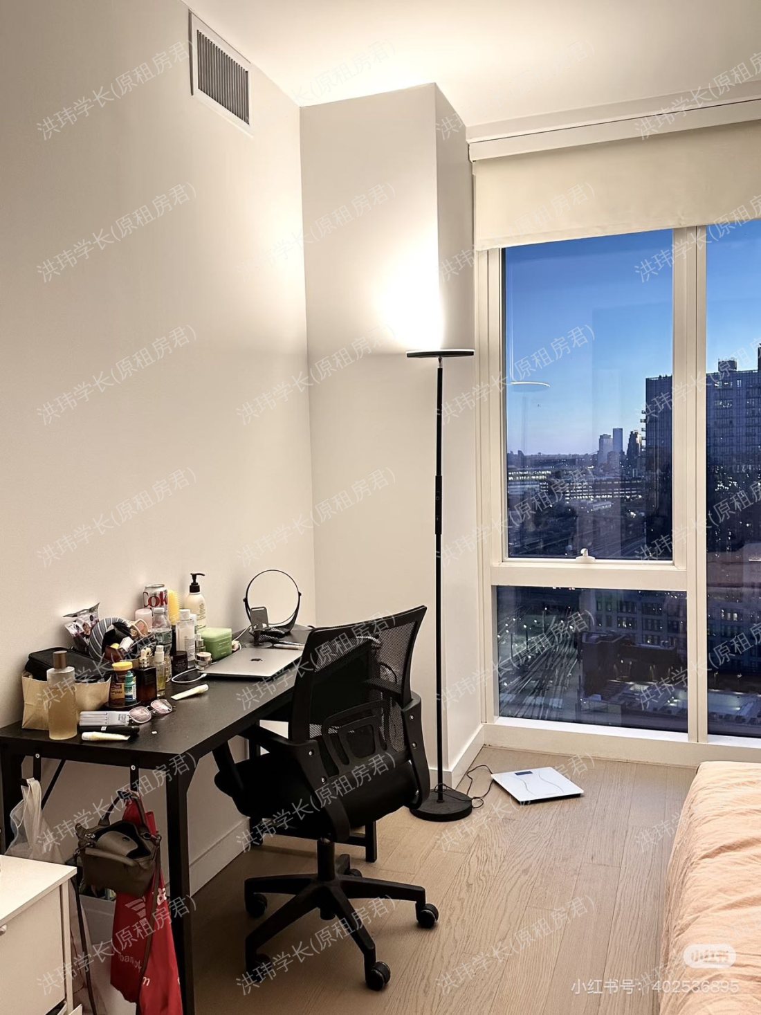 纽约LIC曼岛景观公寓