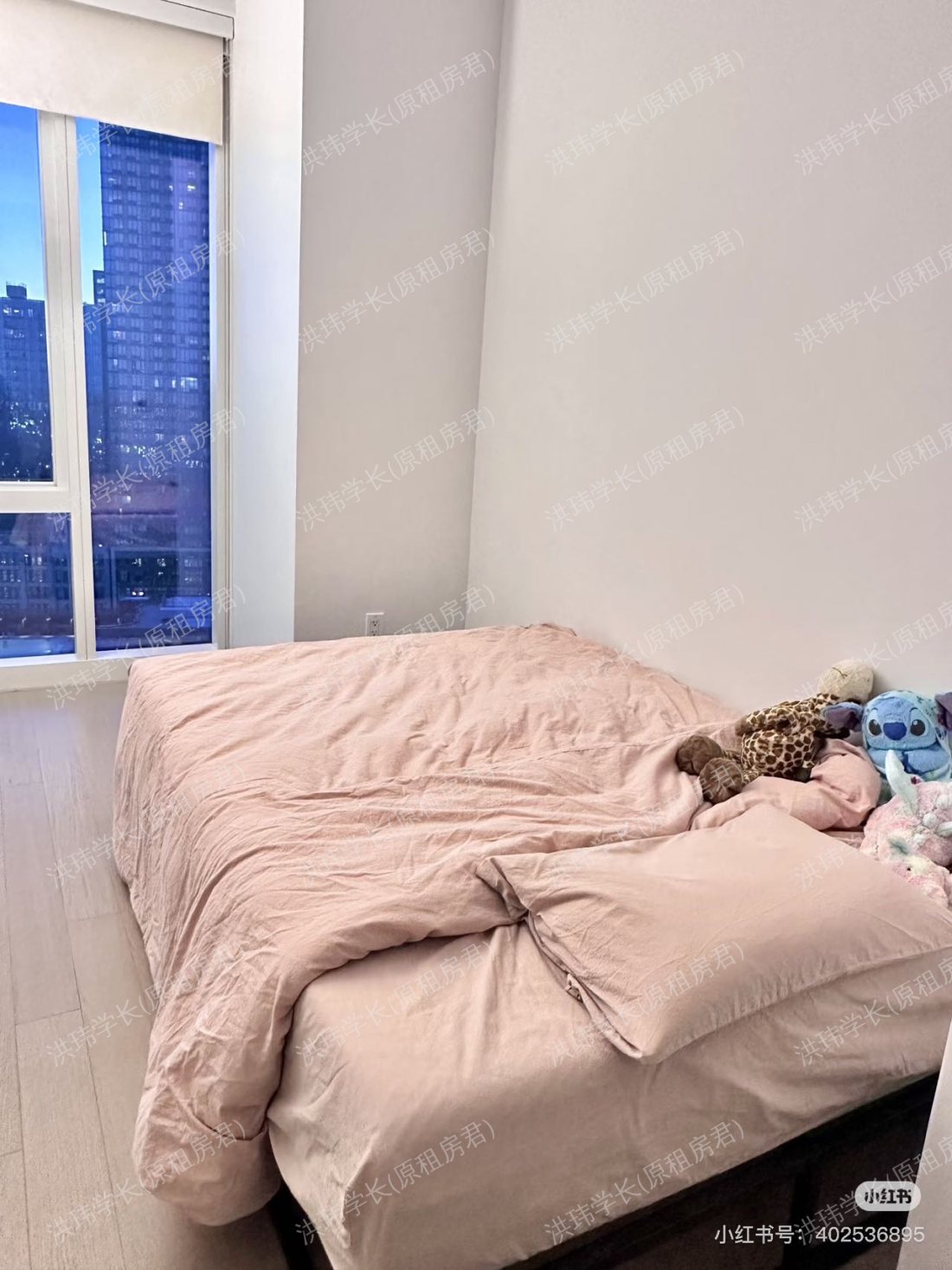 纽约LIC曼岛景观公寓