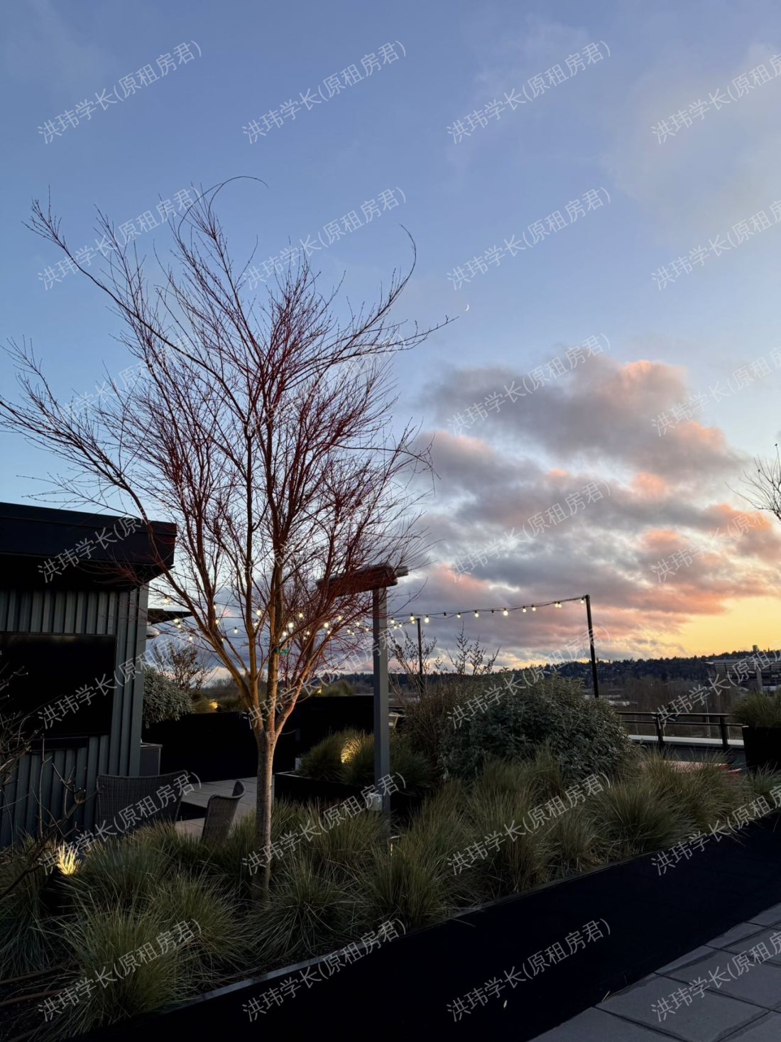 Spur Apartments公寓