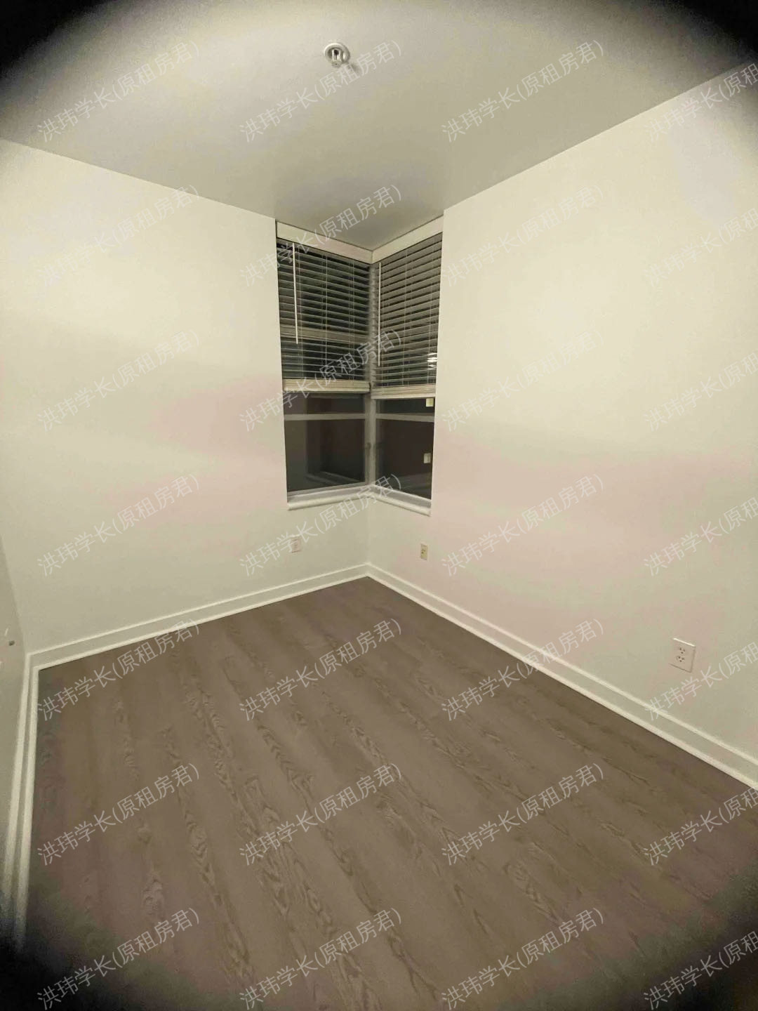 sterling haste公寓