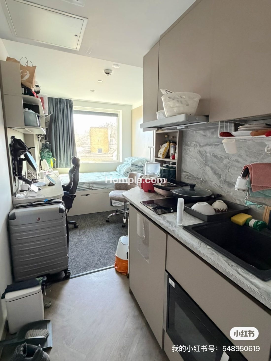 IQ Vega apartment