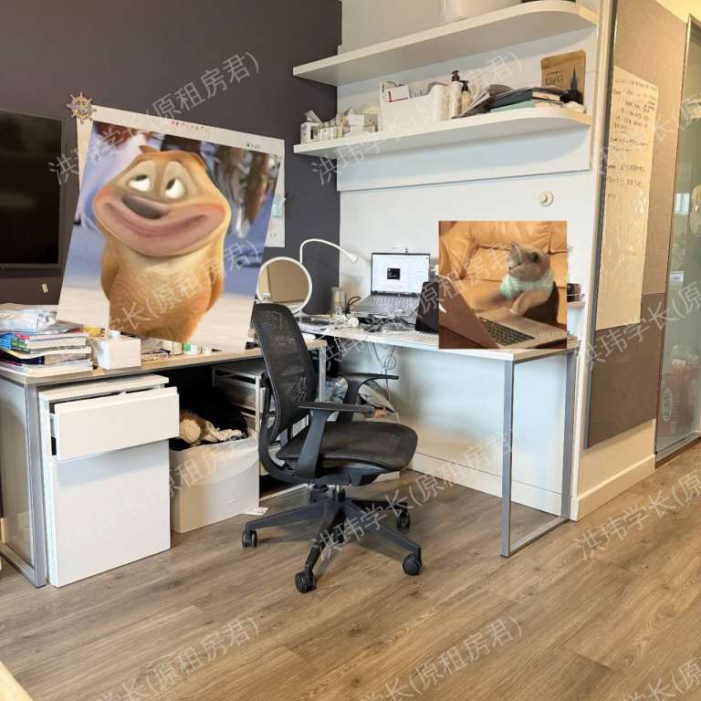 rooms picture