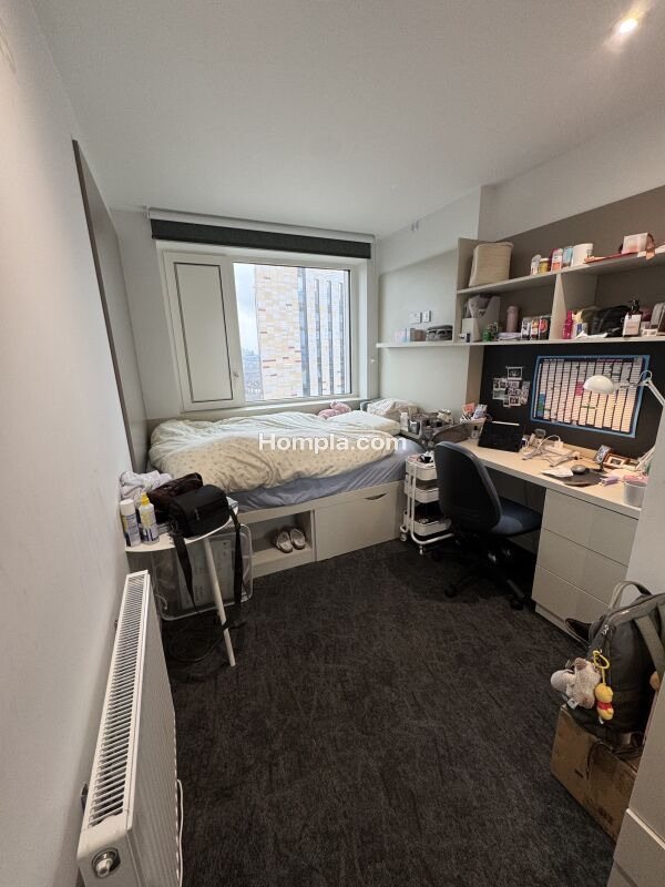 IQ Vega apartment