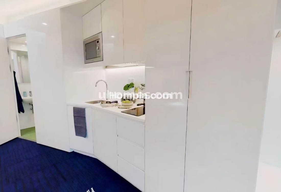 iQ Brighton apartment