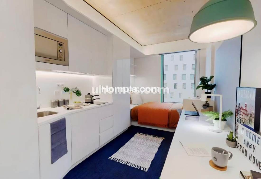 iQ Brighton apartment