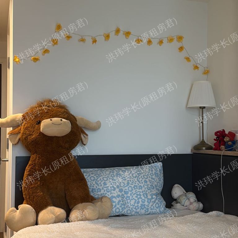 rooms picture
