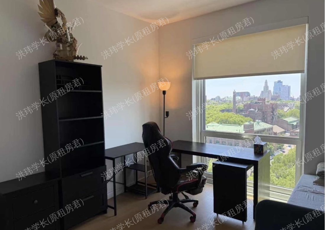 249 Willoughby Ave Brooklyn，（Parish House 13G）公寓