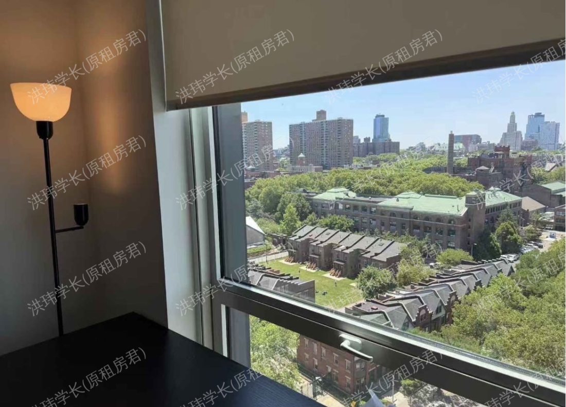 249 Willoughby Ave Brooklyn，（Parish House 13G）公寓