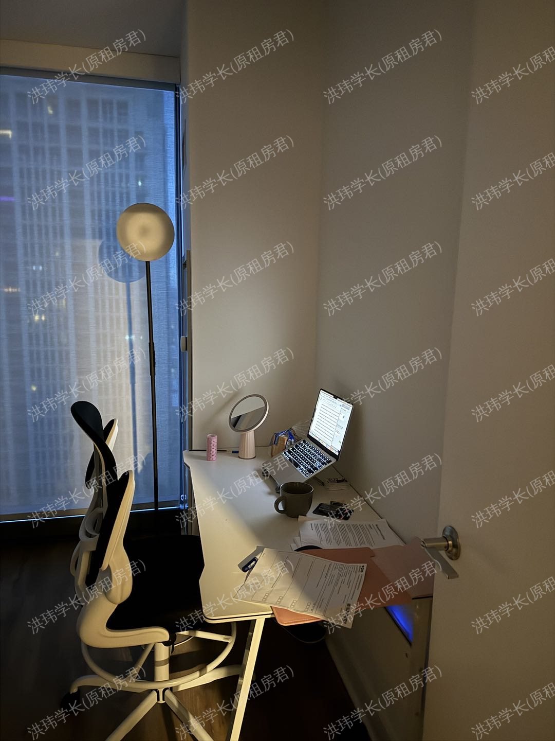 1326S Michigan ave apt2001公寓