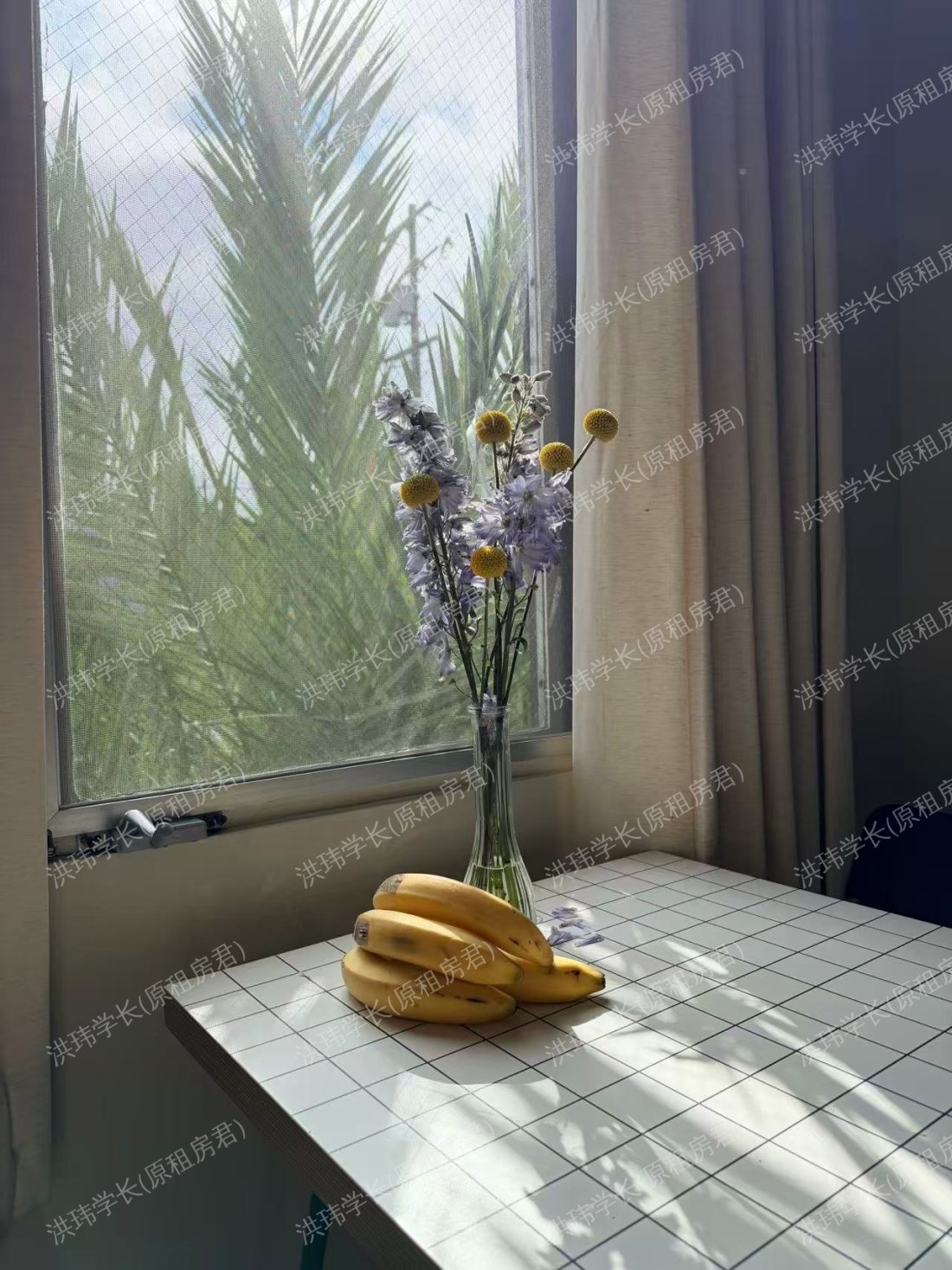 Channing Apartments公寓