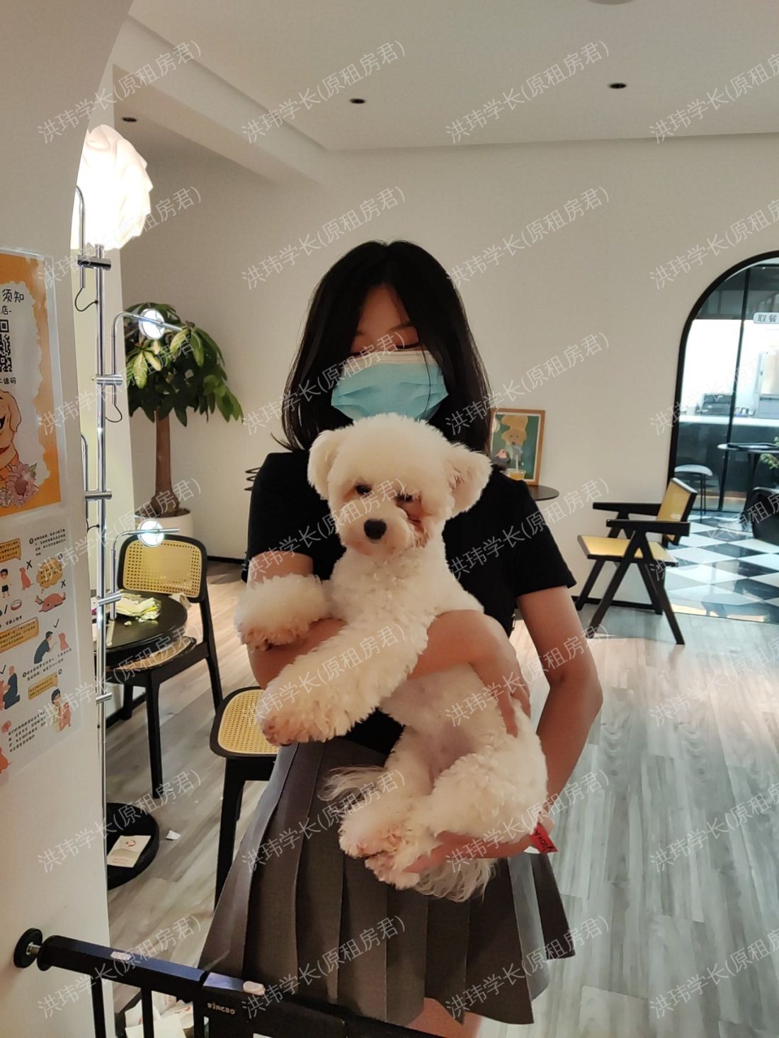 爱丁堡求租