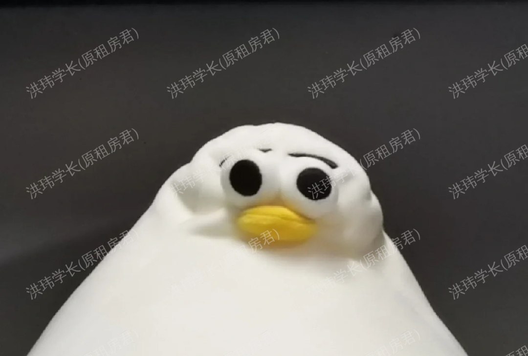 谢菲尔德求租