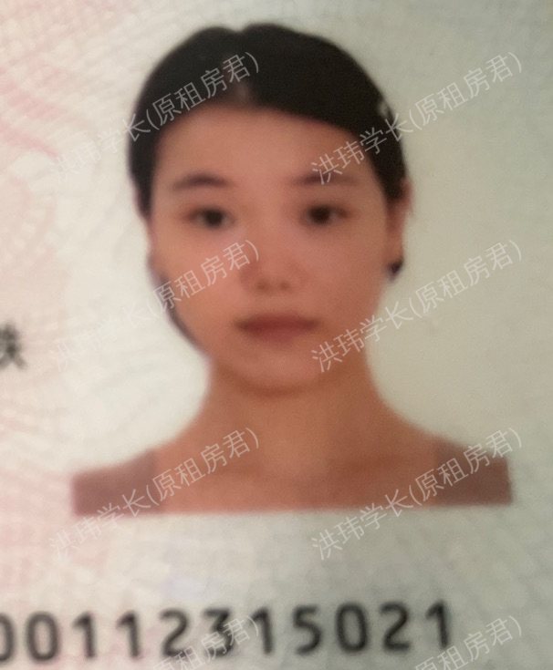 悉尼求租