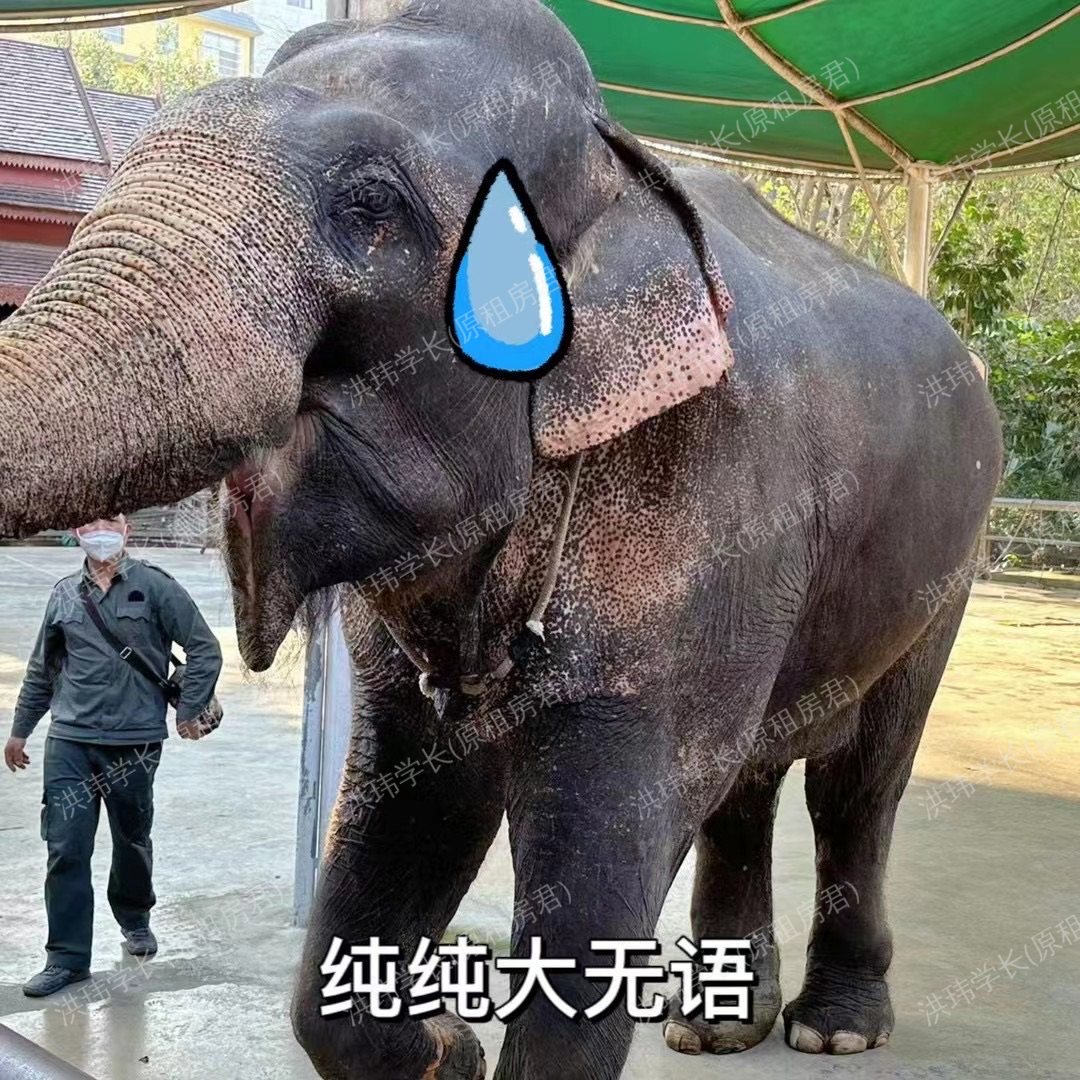 伦敦求租