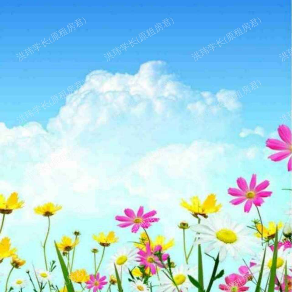 伦敦求租