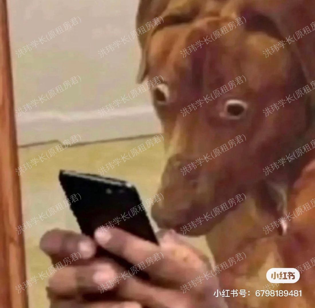 伦敦求租
