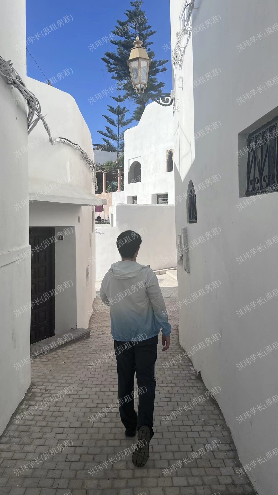 爱丁堡求租