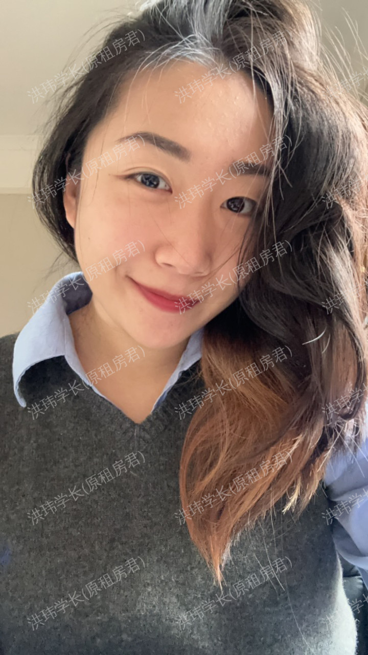 约克求租