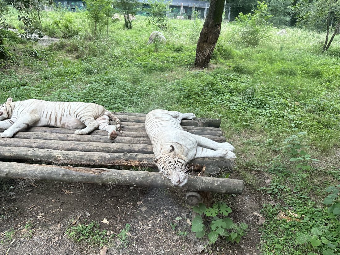 爱丁堡求租