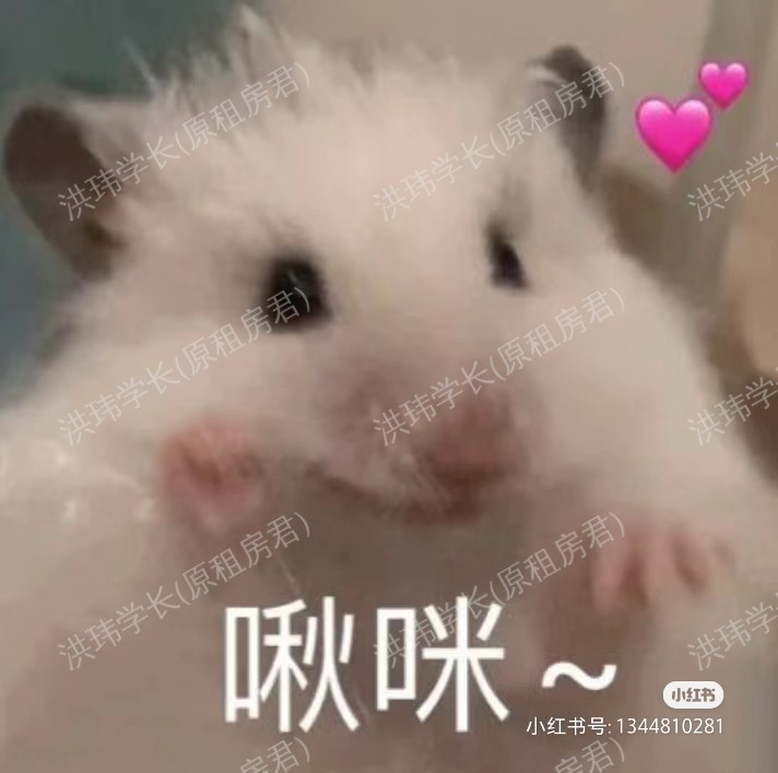 布里斯托求租