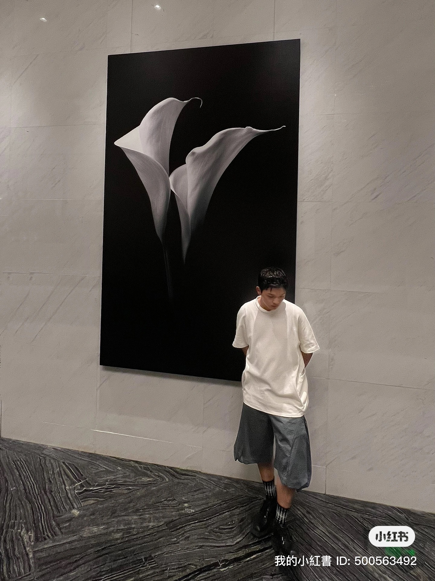 伦敦求租