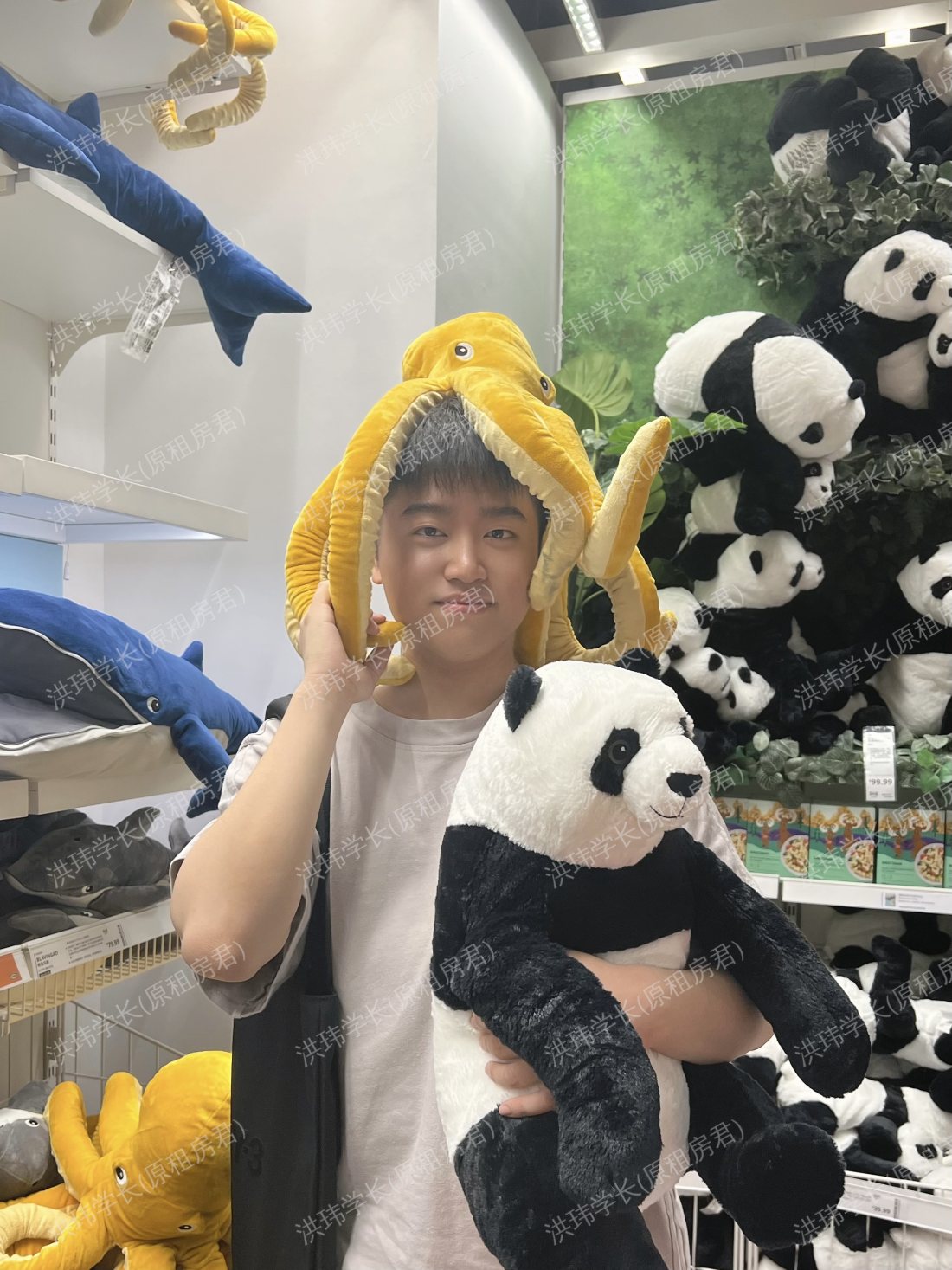 英国求租