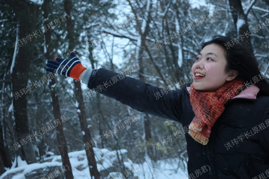 悉尼求租