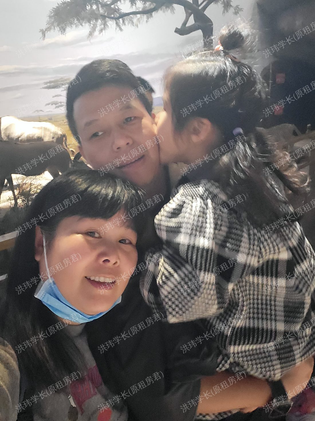 悉尼求租