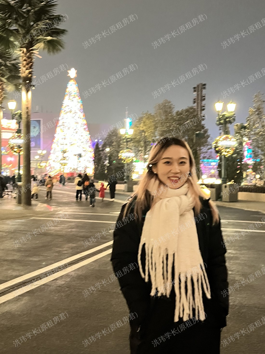悉尼求租