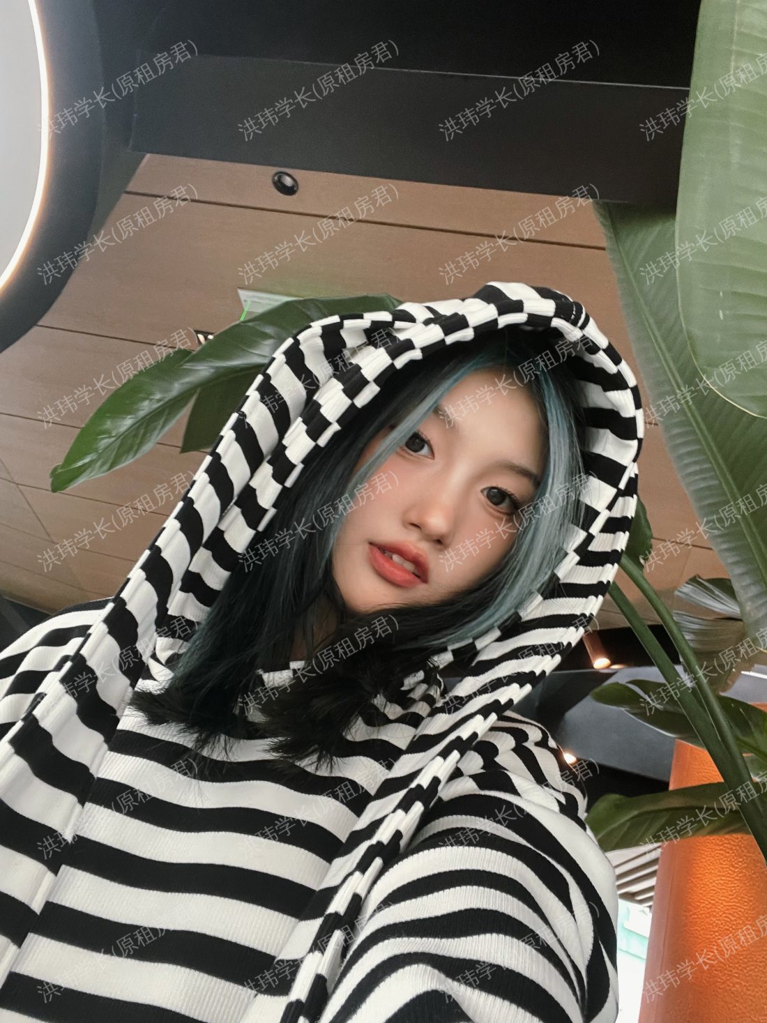 悉尼求租