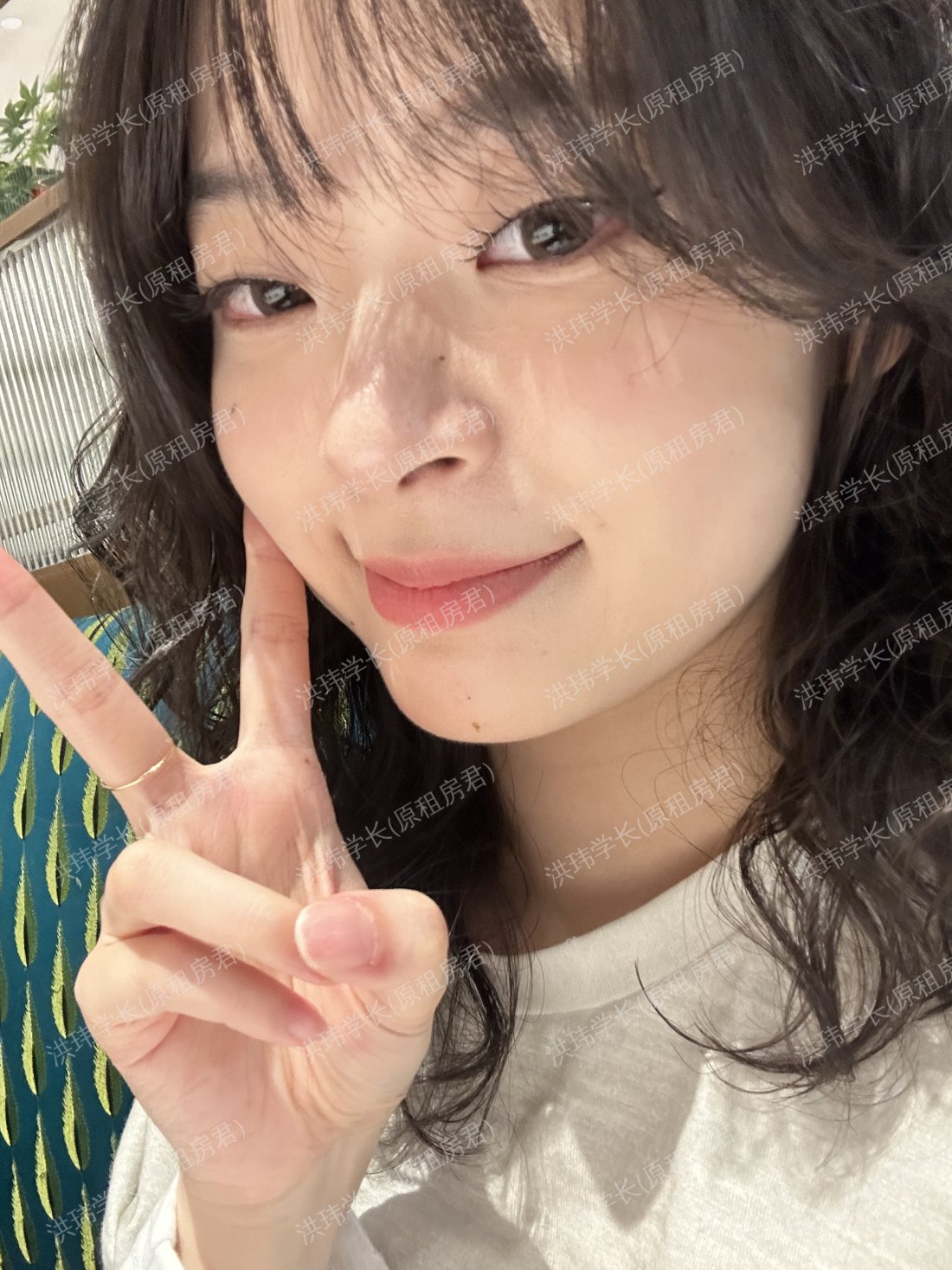 悉尼求租