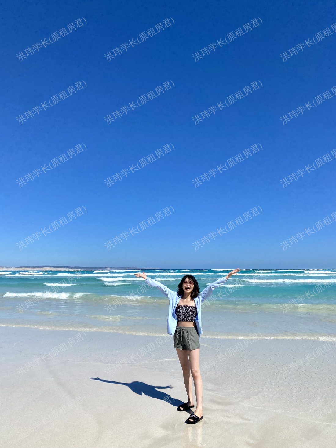悉尼求租