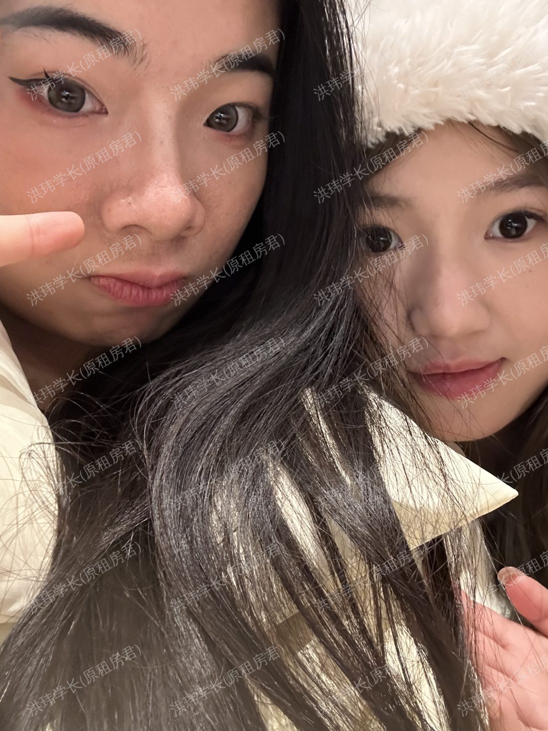 悉尼求租