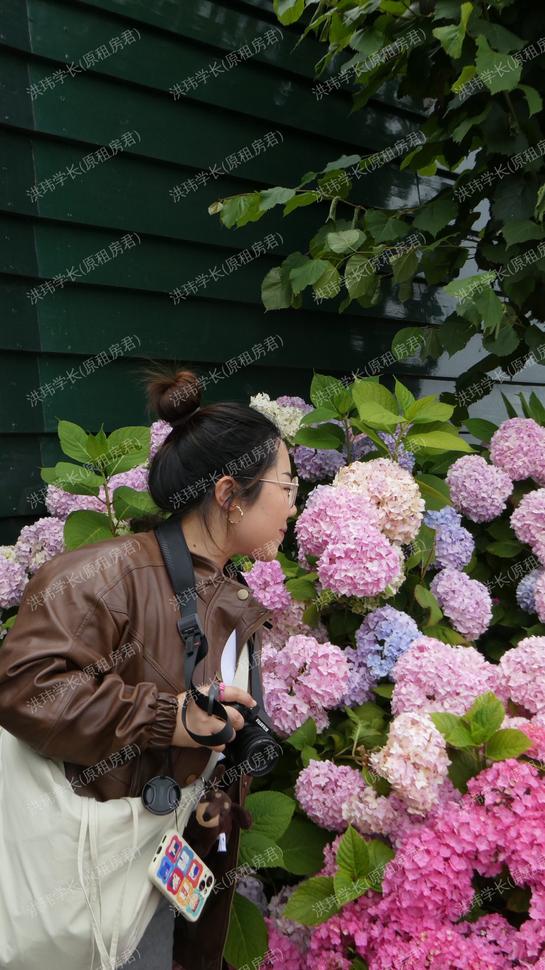 英国求租