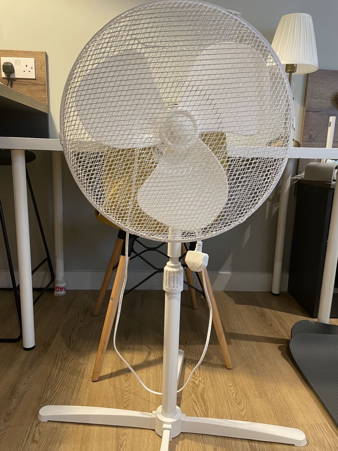 Fan