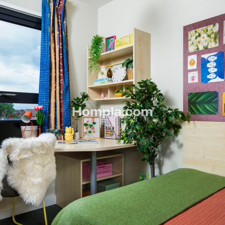room picture