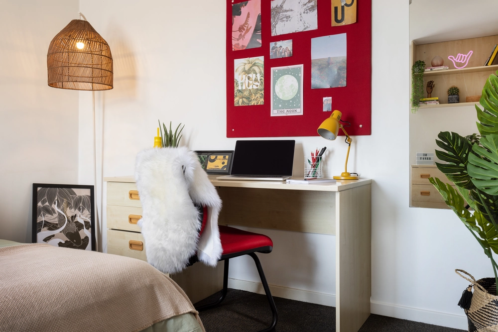 room picture