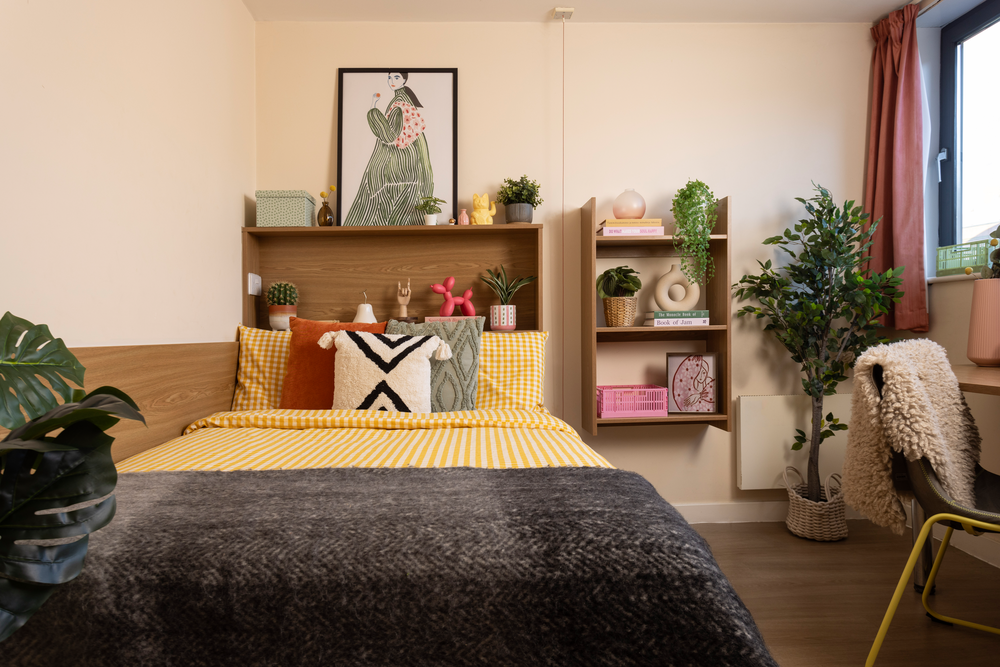 room picture