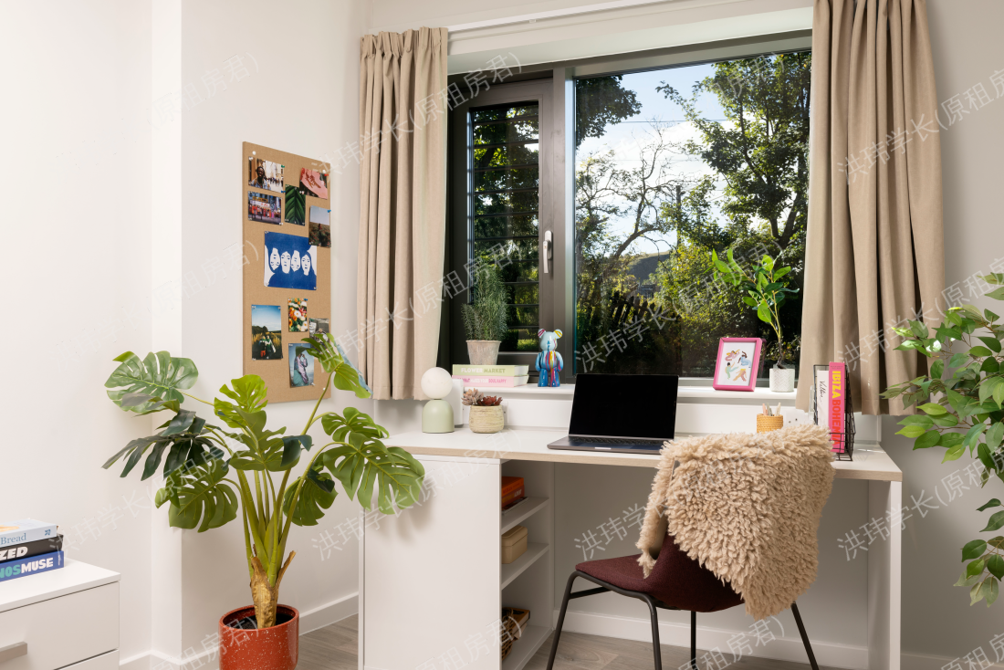 room picture