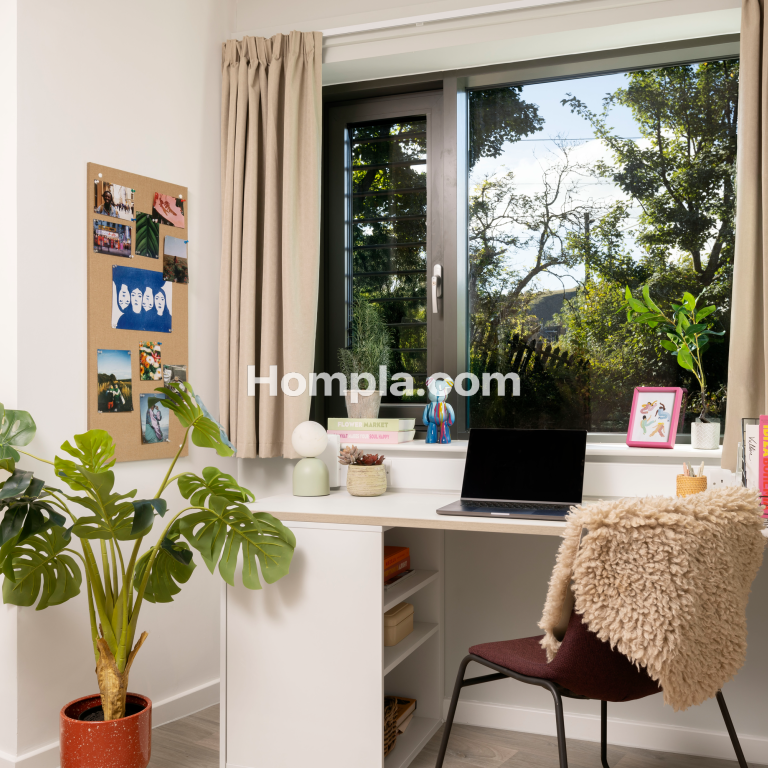 room picture