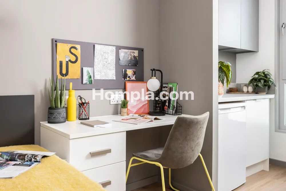 room picture