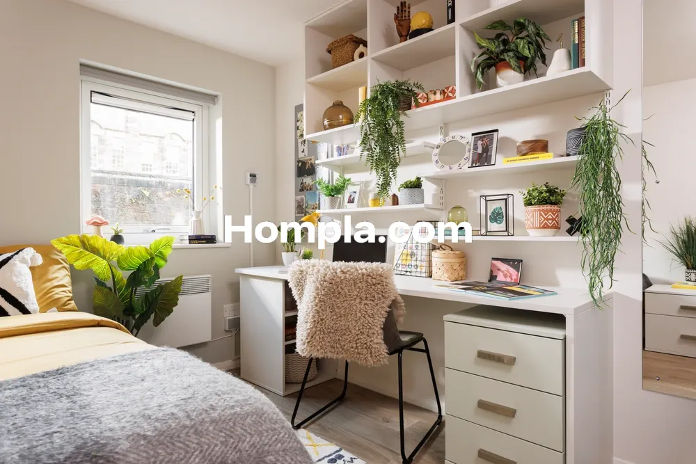 room picture